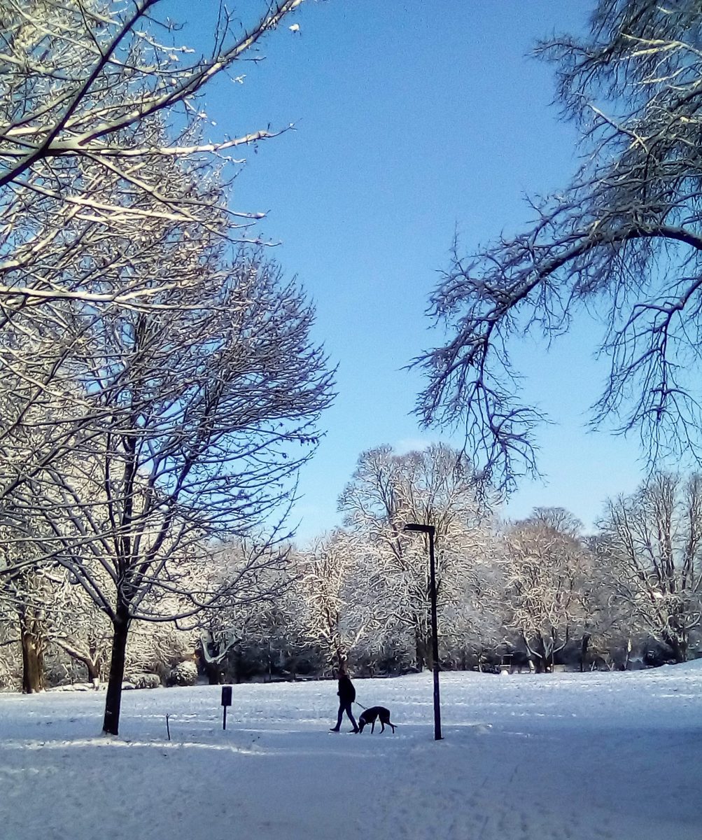 Neuschnee im Westpark