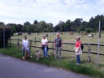 Morgenspaziergang