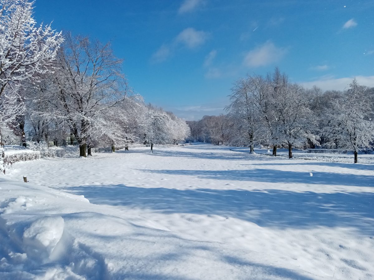 Schneebedeckte Wiese