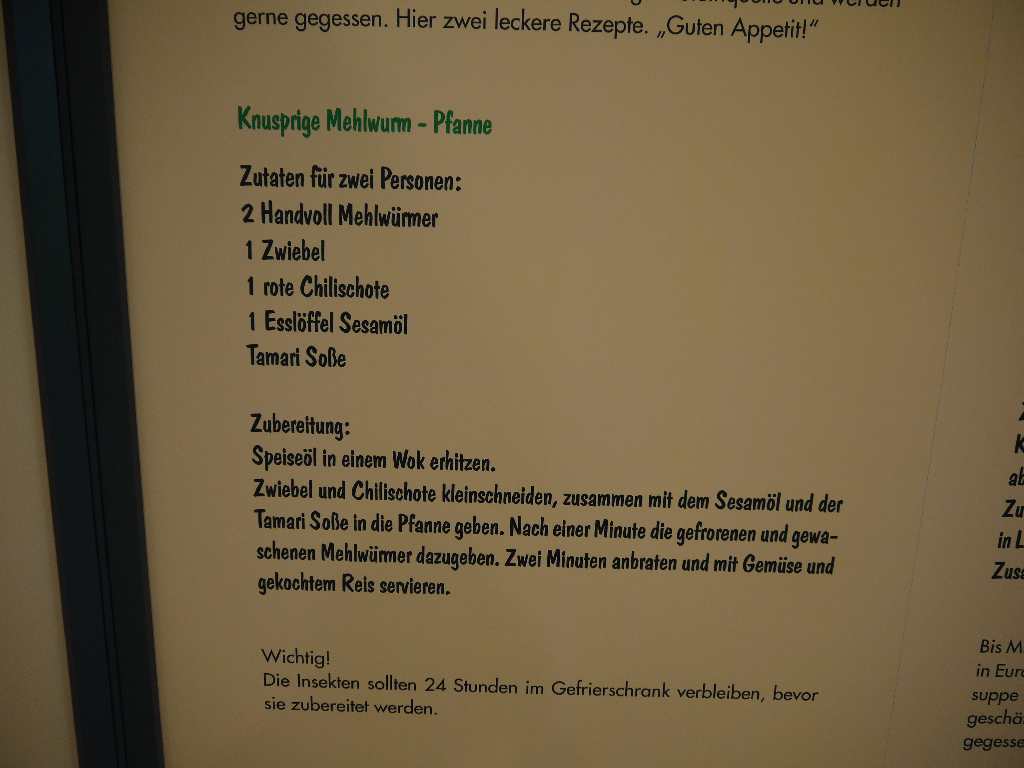 Insektenausstellung, leckere Rezepte
