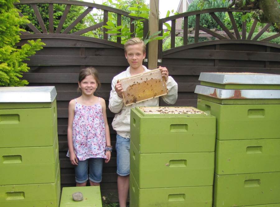 Foto Bienenstöcke und Geschwister Karasch