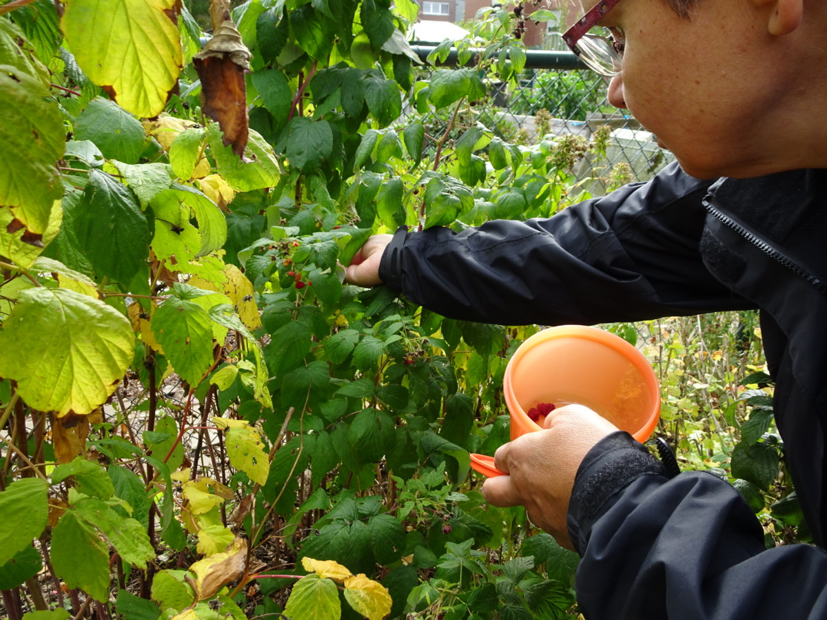 Foto Gartenarbeit