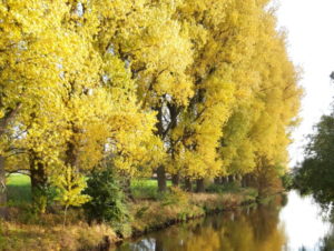 Foto Herbstliche Flusslandschaft