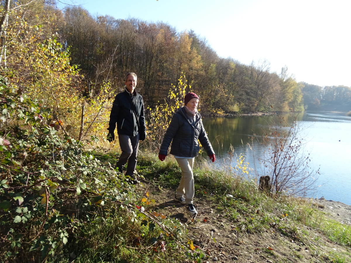 Foto von einer Wanderung am Waldsee in Moers