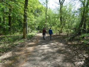 Foto von Spaziergängern im Wald