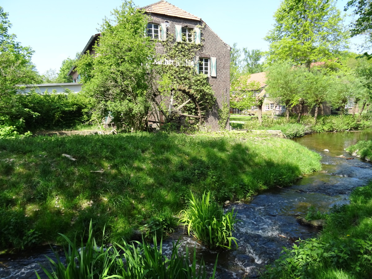 Foto von der Leuther Mühle