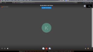 Screenshot Sitzung Jitsi Meeting
