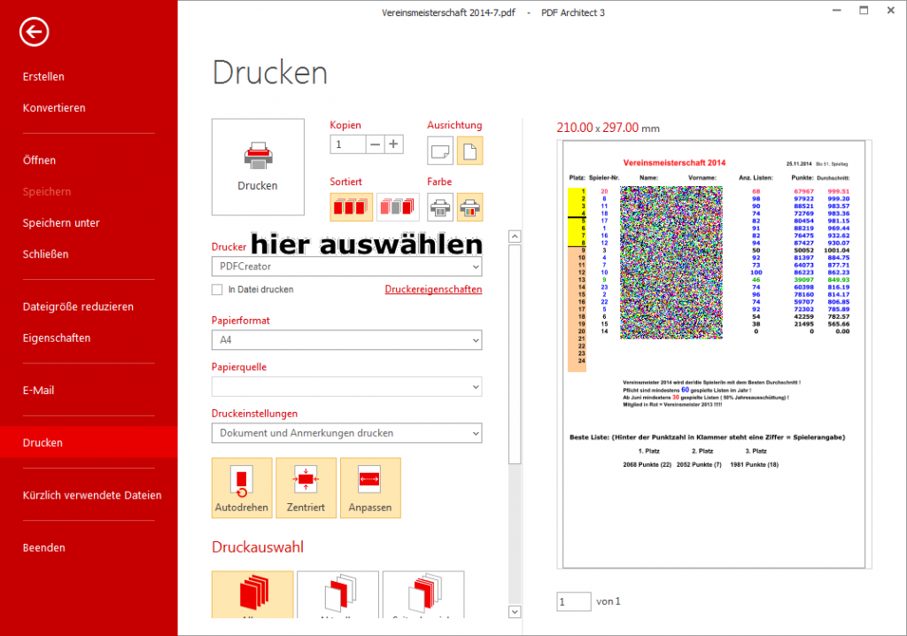 Bild: Druckerauswahl