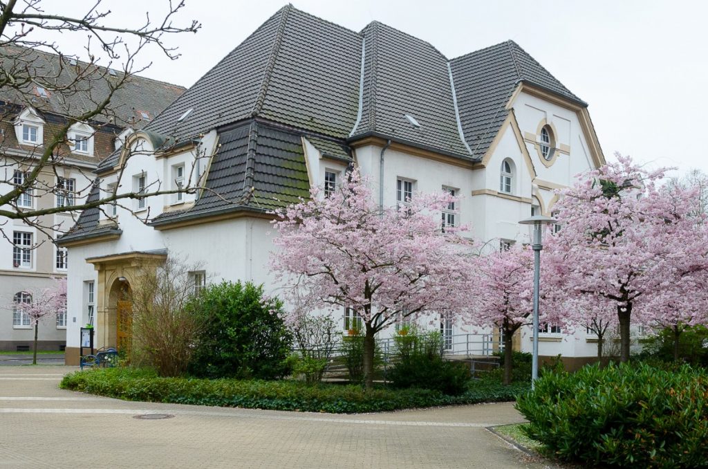 Zu sehen ist das historische Gebäude des Seniorentreffs mit rosa-blühenden Kirchblüten.