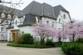 Zu sehen ist das historische Gebäude des Seniorentreffs mit rosa-blühenden Kirchblüten.
