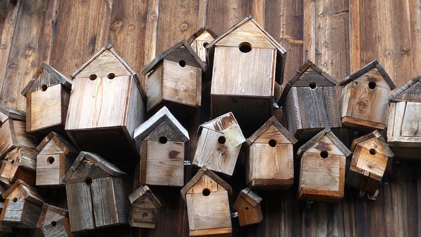 Ansammlung mehrerer Nistkästen aus Holz (Foto: pixabay)