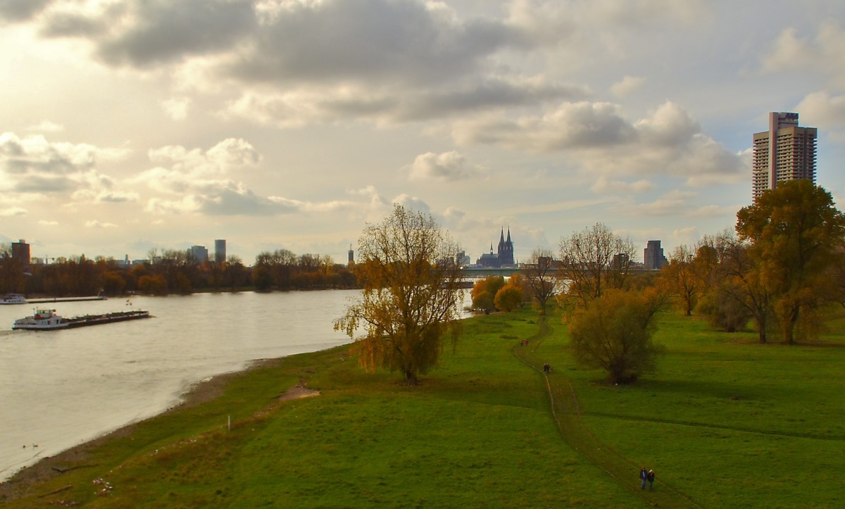Blick von Riehl auf den Rhein und den Dom