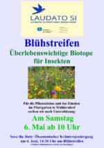 Blühstreifen Pflanzaktion im Pfarrgarten Widdersdorf