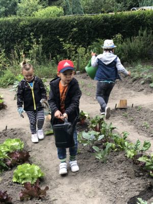 Kinder der Sternschnuppengruppe beim Gießen