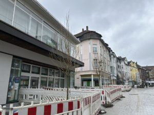 Neu gepflanzte Ahornbäume in der Ewaldstraße