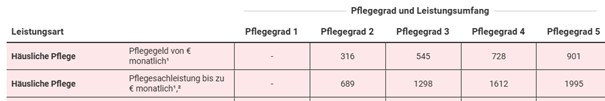 Pflegegrade und Leistung ambulant 2021