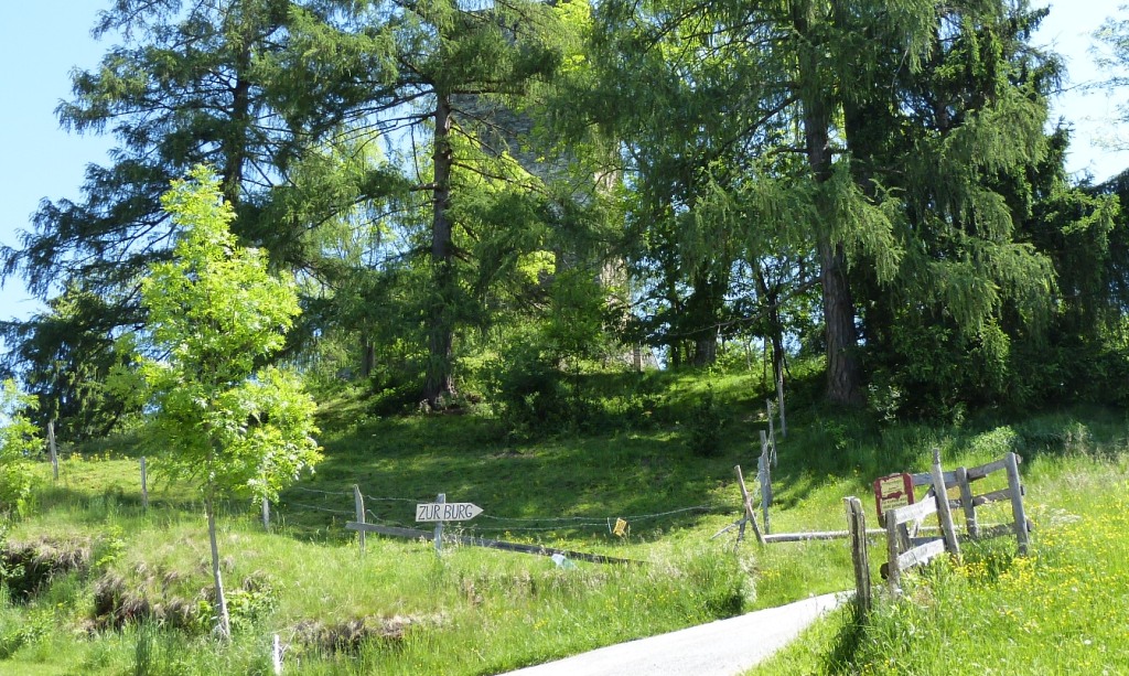 Wegetafel zur Burg