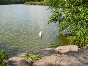 der Ewaldsee, Ziel der Radtour