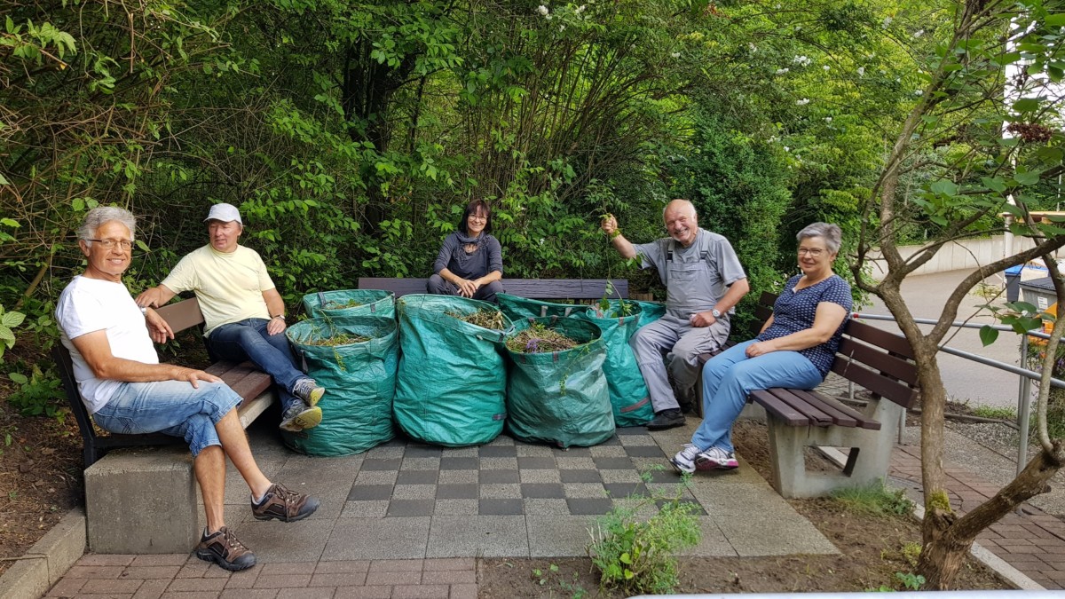 Gartenarbeit im Therapiegarten