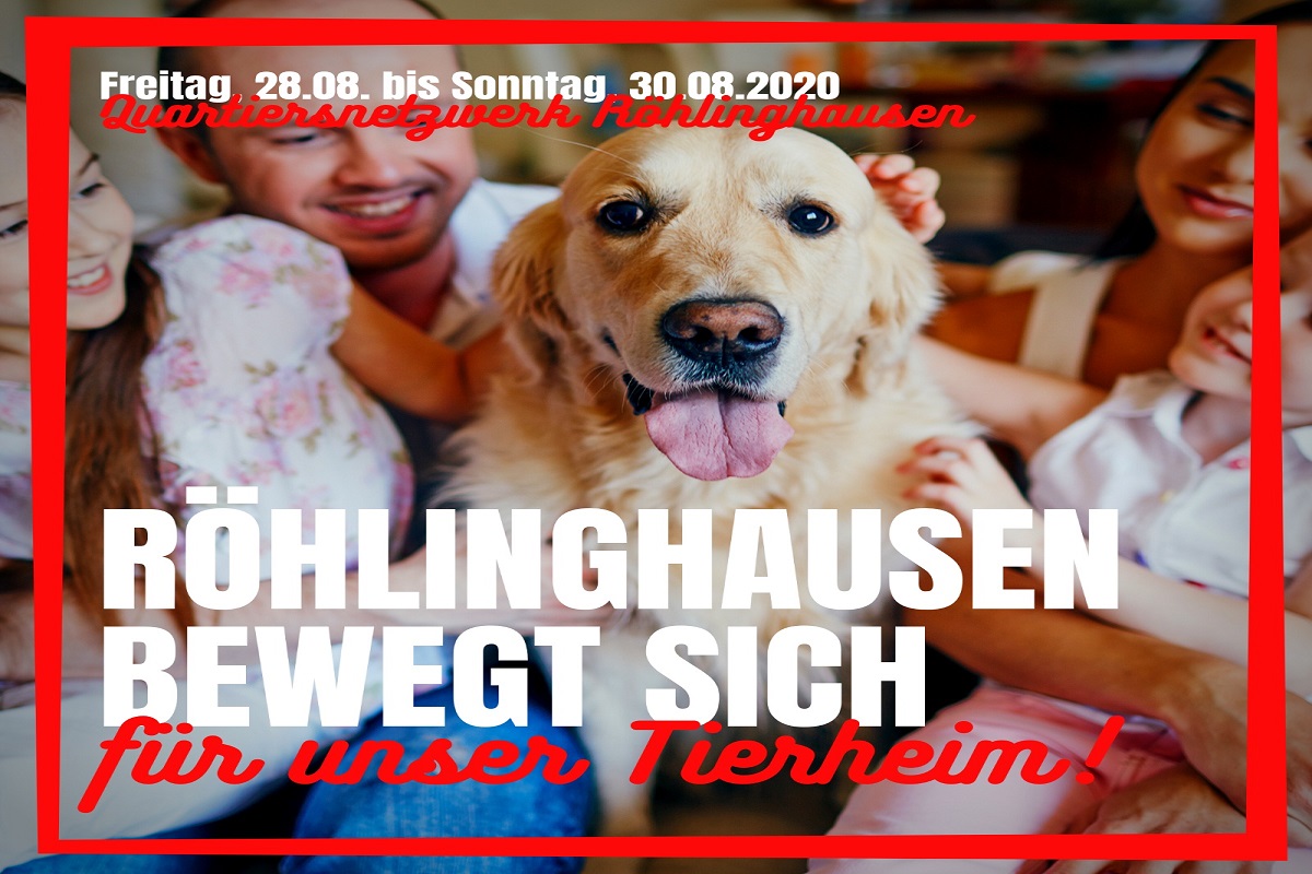 Spenden für das Tierheim