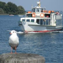 Tagesausflug mit dem DRK