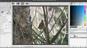 Screenshot GIMP 2.8